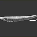 Detailed Anatomical Organ Structure With Hair Fibers In White 3D Rendering