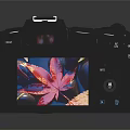 Digital Camera with LCD Screen Displaying Red Maple Leaf Photo Black Body and Control Buttons 3d model