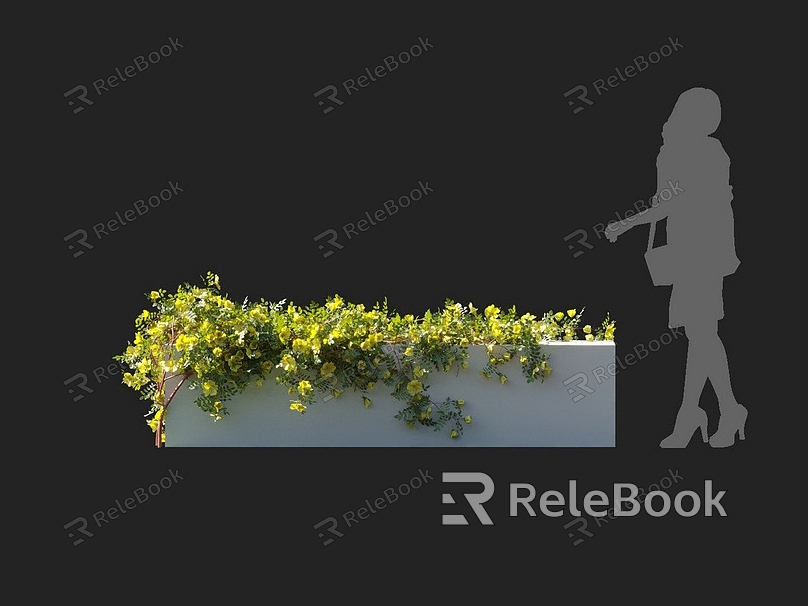 Rosa prickly rose flower shrub vine climbing vine climbing wall plant flower ivy wall creeper rose model