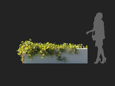 Rosa prickly rose flower shrub vine climbing vine climbing wall plant flower ivy wall creeper rose 3d model