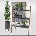Stylish Interior Decor With Potted Plants On Wooden Shelf And Decorative Painting Books Candles