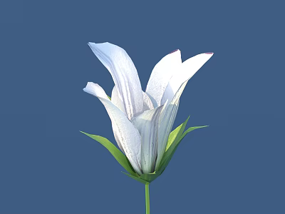 Beautiful White Flower With Bell Shaped Petals Green Leaves Stem And Deep Blue Background 3d model