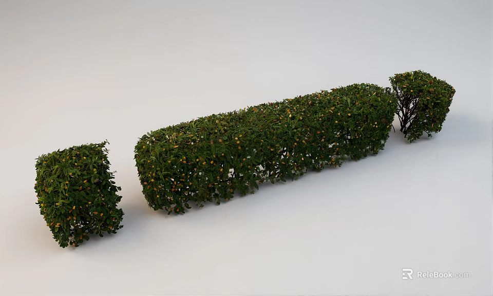 Well Trimmed Garden Shrubs In Geometric Shapes With Lush Green Foliage 3d model 