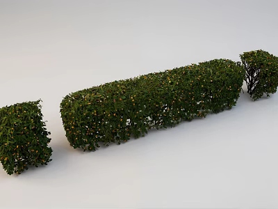 Well Trimmed Garden Shrubs In Geometric Shapes With Lush Green Foliage 3d model