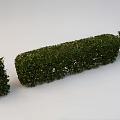 Well Trimmed Garden Shrubs In Geometric Shapes With Lush Green Foliage