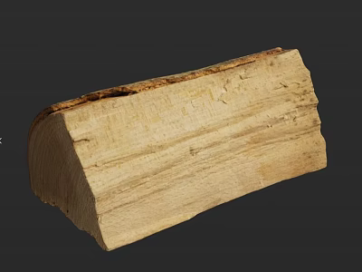 Natural Stone Wood Slab With Raw Surface Texture And Light Wooden Grain 3d model