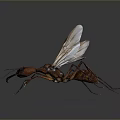 Winged Brown Ant With Detailed Body Structure On Gray Background Close Up View 3d model