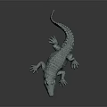Modern Crocodile Alligator Nile Crocodile carnivore 3d model