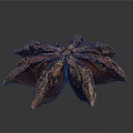 Dried Star Anise Spice with Brown Star Shaped Pods on Dark Background