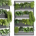Stylish Black Multi Layer Metal Plant Stand With Various Green Plants For Indoor Decor