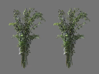 Fresh Green Bamboo Plants With Lush Leaves And Slender Stems In Gray Background 3d model