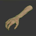 Detailed Human Arm And Hand 3D Render With Skin Texture On Dark Background And Reflection