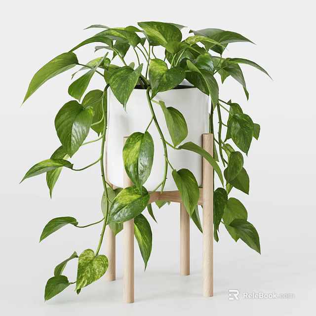 Lush Potted Bonsai Plant With White Pot Wooden Stand And Hanging Green Leaves 3d model 