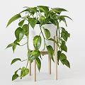 Lush Potted Bonsai Plant With White Pot Wooden Stand And Hanging Green Leaves
