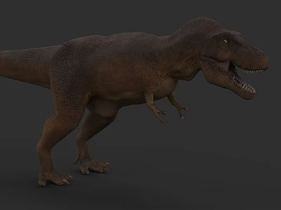 Realistic Reptile Tyrannosaurus Rex 3D Model With Open Mouth And Detailed Skin Texture 3d model