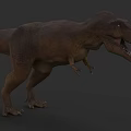Realistic Reptile Tyrannosaurus Rex 3D Model With Open Mouth And Detailed Skin Texture