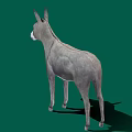 Realistic Gray Donkey Standing Isolated On Green Background With Shadow 3d model