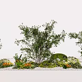 Outdoor Flower and Plant Landscape Design with Green Shrubs Colorful Blooms and Natural Greenery