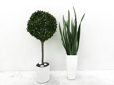 green plant model