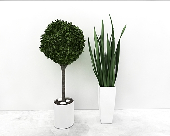 green plant 3d model