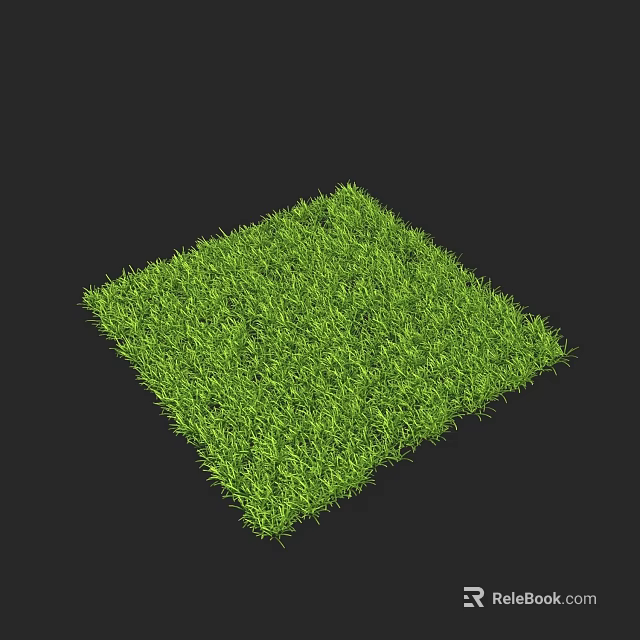 Green Square Grass Patch On Black Background With Fresh Natural Texture 3d model 