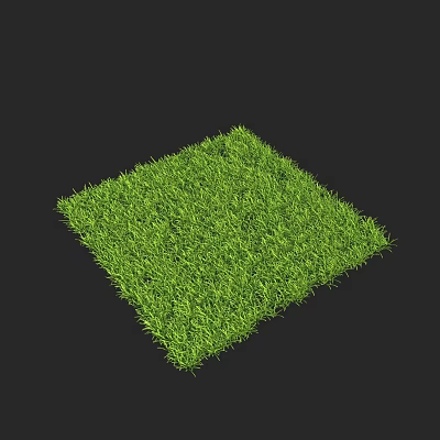 Modern Grassland Lawn Grass Seeds 3d model Modern Grassland Lawn Grass Seeds 3d model