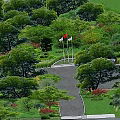 Lush Courtyard Garden Design With Green Trees Colorful Shrubs And Decorative Gate