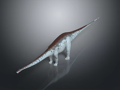 Realistic 3D Sauropod Dinosaur Model With Long Neck Tail Textured Skin Gray Background And Reflection 3d model