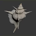 Conch Marine Animal With White Spiral Shell And Spiky Protrusions On Dark Background
