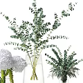 Decorative Glass Vases With Eucalyptus Branches And White Hydrangea Blooms