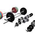 Fitness Sports Equipment Including Colorful Barbell Plates And Various Dumbbells