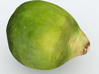Fresh Green Root Vegetable With Smooth Surface And Natural Organic Texture 3d model