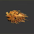 Orange Spongy Coral Like Object with Long Thin Projections on Dark Background and Reflection
