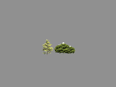 Different Types of Arbor Trees Featuring Yellow Needles Green Leaves And White Flowers 3d model