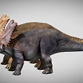 Two Different Colored Dinosaurs With Large Frills And Horns Standing Together
