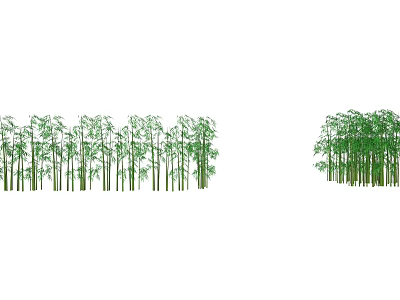 Lush Green Bamboo Forest With Tall Stems Growing In Natural Environment 3d model