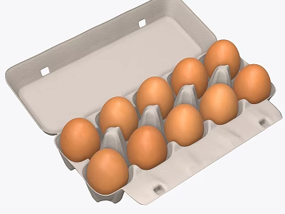 Fresh Brown Chicken Eggs In Open Cardboard Carton Container 3d model