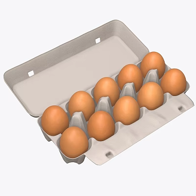 Fresh Brown Chicken Eggs In Open Cardboard Carton Container 3d model