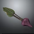 Vibrant Fresh Purple Beetroot With Green Leaves And Healthy Vegetable Appearance