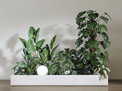 Indoor Decorative Potted Plants in White Rectangular Planter with Various Green Foliage and Large Leaves 3d model