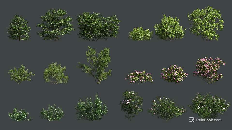 Various Types of Green Leafy Shrubs with Flowering Varieties for Gardens 3d model 