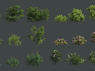Various Types of Green Leafy Shrubs with Flowering Varieties for Gardens 3d model