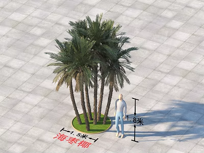 Date Palm Arbor with 5 Meters Height on Square Paved Ground and Human Figure Reference 3d model