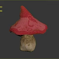 Vibrant Red Pink Mushroom with Broad Cap and Brown Stem Against Dark Background