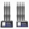 Modern Decorative Ornament Set With Black Antenna Like Structures And Base Labels