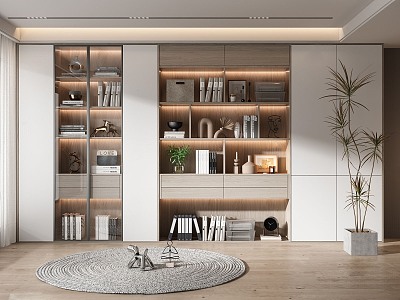 Modern bookcase 3d model