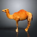 Single Brown Camel Standing On Dark Background With Smooth Surface 3d model
