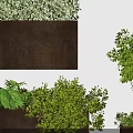 Decorative Bonsai Potted Plants in Rectangular Containers with Various Green Foliage 3d model