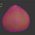 Natural Healthy Fresh Ripe Yellow Pomelo With Textured Skin On Dark Background