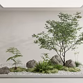 Indoor Plant Combination With Green Trees Small Shrubs Stones And White Pebbles